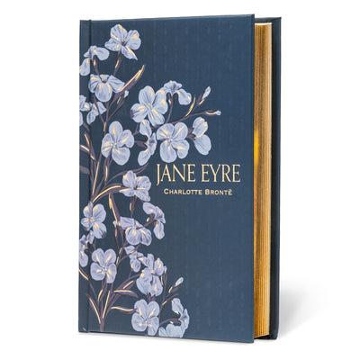 Jane Eyre (DK Classics)