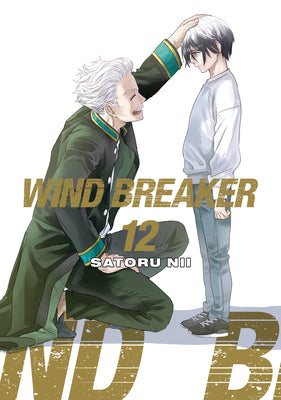 Wind Breaker 12