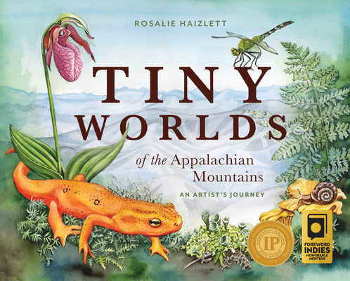 Tiny Worlds of the Appalachian Mountains: An Artist's Journey