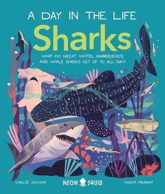 Sharks (a Day in the Life): What Do Great Whites, Hammerheads, and Whale Sharks Get Up to All Day?