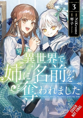 In Another World, My Sister Stole My Name, Vol. 3